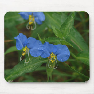 Asiatic Dayflower Blue WIldflower Apparel & Gifts Mouse Pad