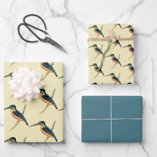 Asiatic Kingfisher Wrapping Paper Sheet