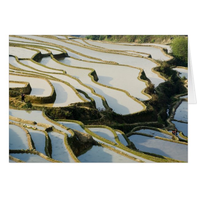 Asie, Chine, province du Yunnan, comté de Yuanyang (Devant horizontal)