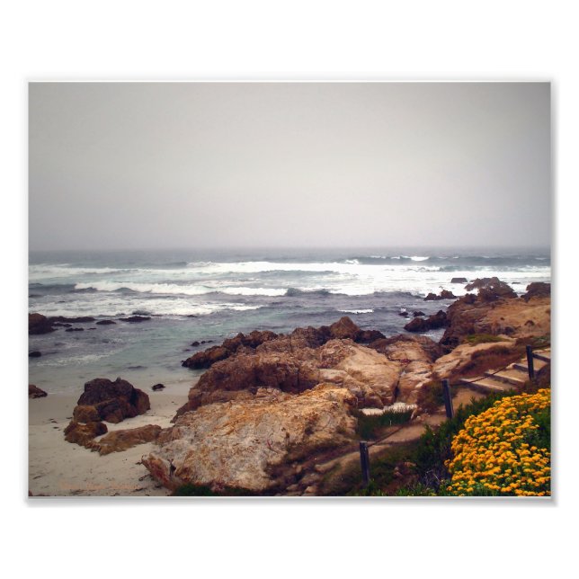 Asilomar Beach, Pacific Grove, CA, USA Photo Print (Front)