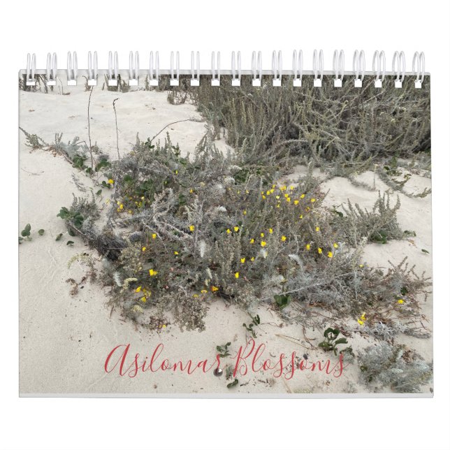 Asilomar Blossoms Calendar (Cover)