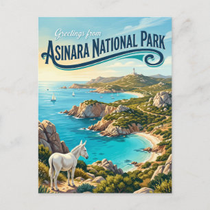 Asinara National Park Italy Postcard
