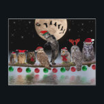 Asio dancing with Owls on Christmas Eve Holiday Postcard<br><div class="desc">Asio dancing with Owls on Christmas Eve</div>