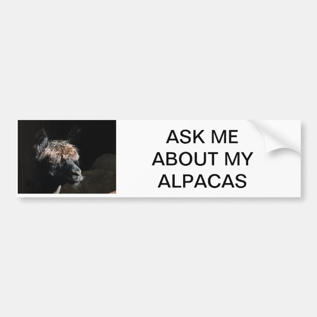 ASK ME ABOUT MY ALPACAS BUMPER STICKER (Front)