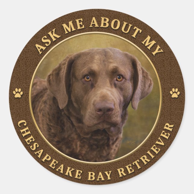 Ask Me About My Chesapeake Bay Retriever Stickers (Front)