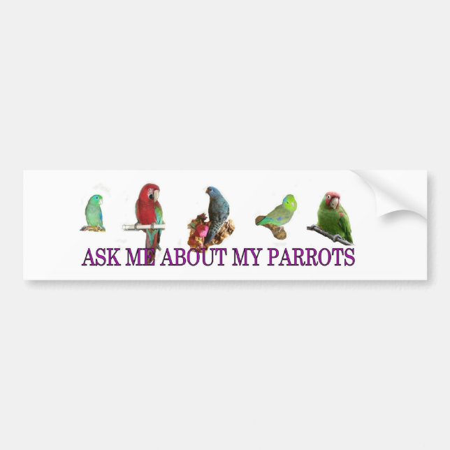 Ask Me About My Parrots Bumper Sticker (Front)