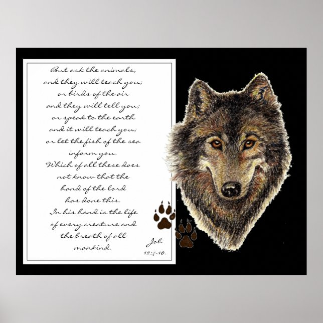 Ask the Animals Scripture from Job Watercolor Wolf Poster (Front)