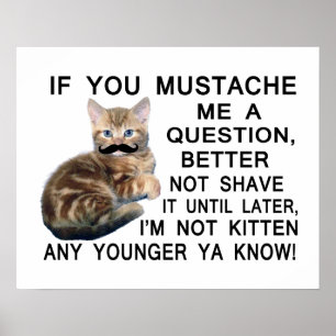 Ask The Kitten With A Moustache A Question Poster