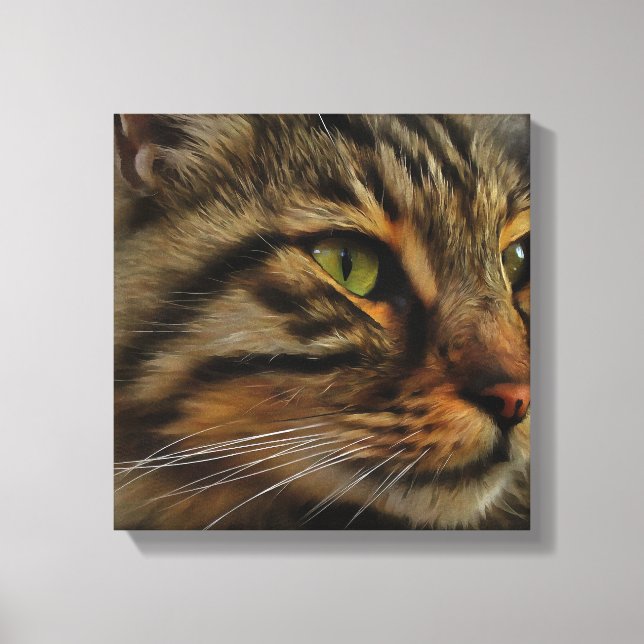 Aslan The Long Haired Tabby Cat Canvas Print (Front)