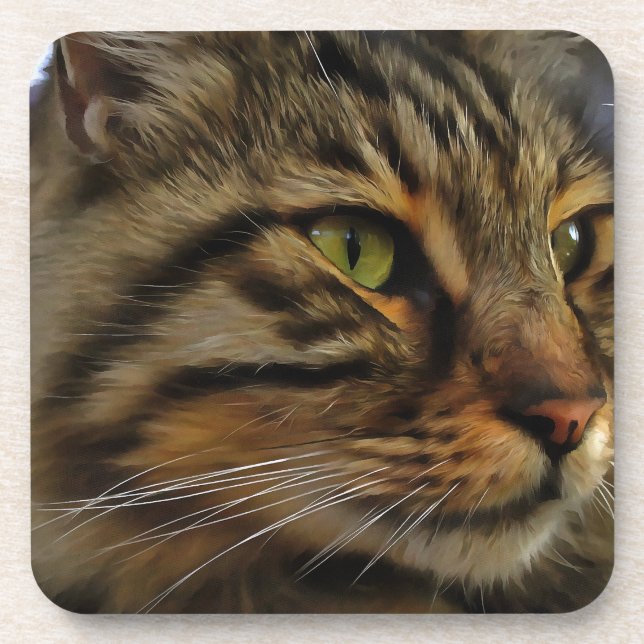 Aslan The Long Haired Tabby Cat Coaster (Front)