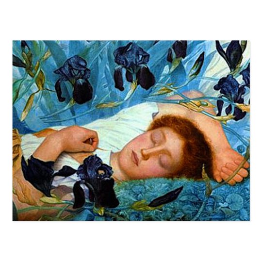 Asleep in the Irises Postcard