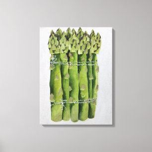 Asparagus 2013 canvas print