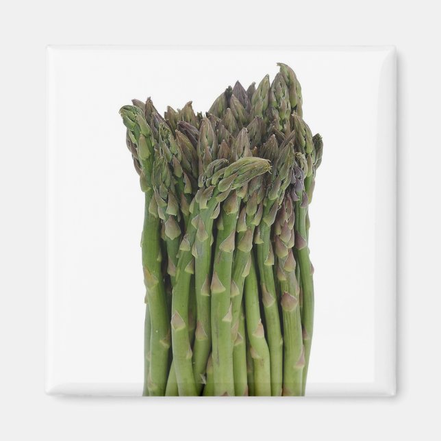 Asparagus Magnet (Front)