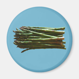 Asparagus Magnet