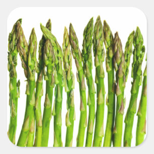 Asparagus on White - Customized Veggie Background Square Sticker