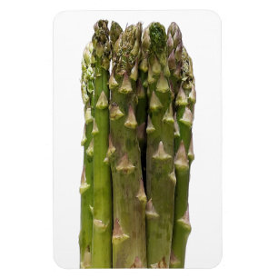 Asparagus Photo Magnet