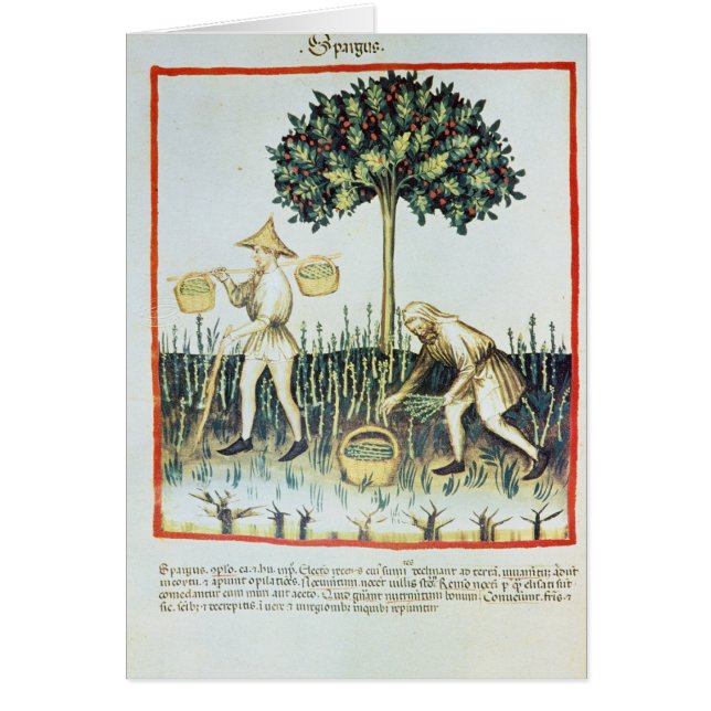 Asparagus Pickers, 13th century (Front)
