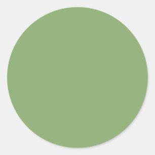 Asparagus (solid colour) classic round sticker
