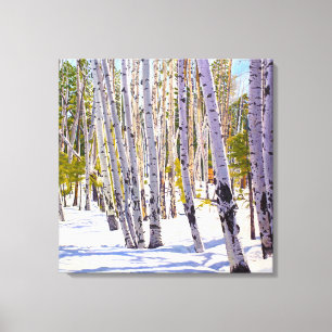 Aspect en toile de neige