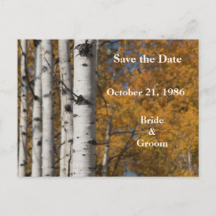 Aspen Alley In Fall Orange Wedding Postcards