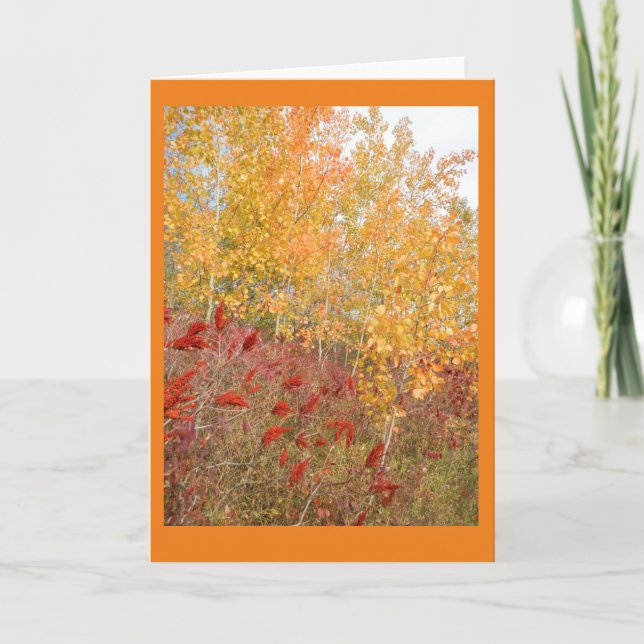 Aspen and Sumac Blank Note Card (Front)