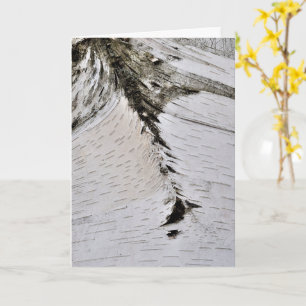 Aspen Bark Close Up Card