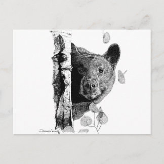 Aspen Bear Postcard