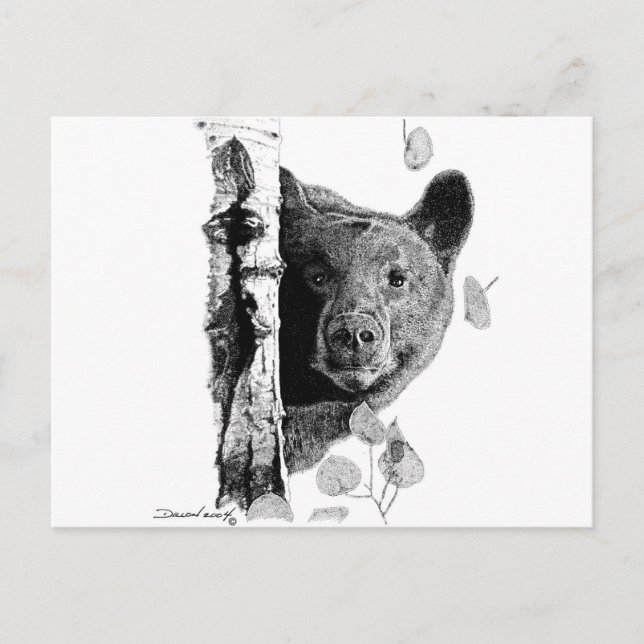 Aspen Bear Postcard (Front)