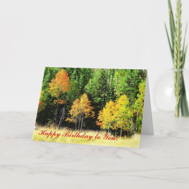 Aspen Birthday Card (Front)