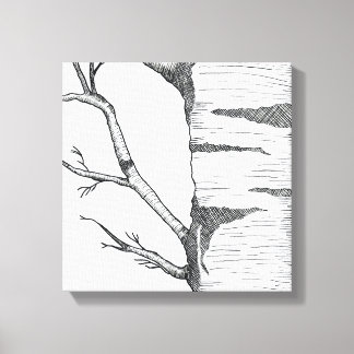 Aspen Canvas Print