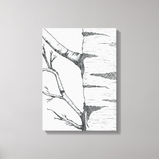Aspen  canvas print