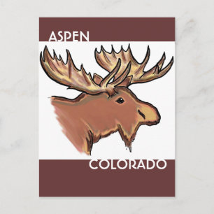 Aspen Colorado brown moose postcard