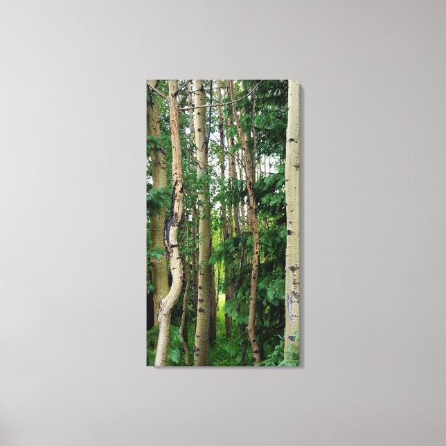 Aspen Forest Canvas Print (Front)