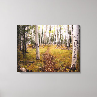 Aspen Forest in the fall Canvas Print