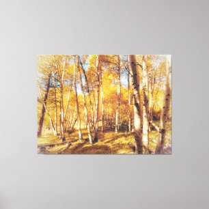 Aspen Forest in Vibrant Fall Colors  Canvas Print