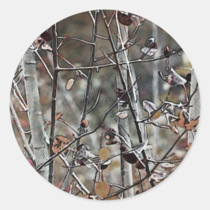 Aspen Forest Late Autumn Classic Round Sticker