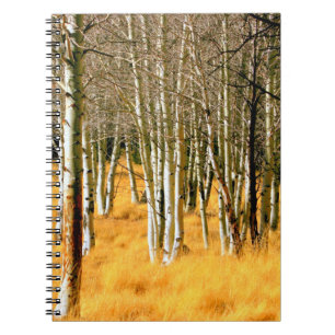 aspen forest notebook