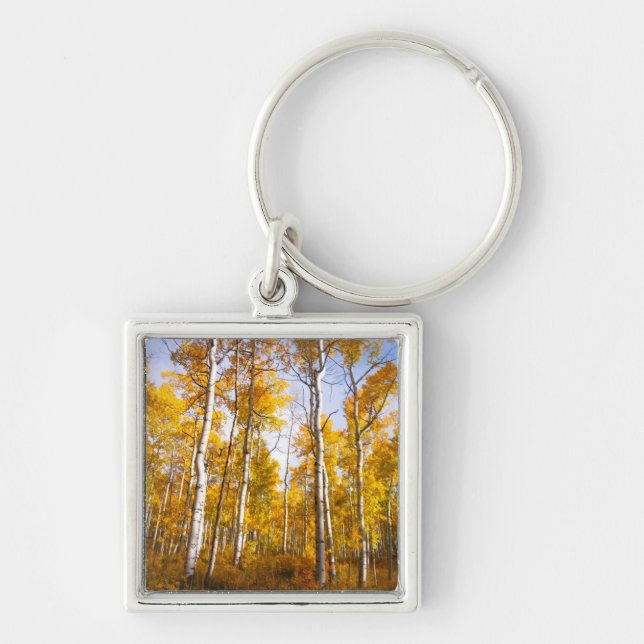 Aspen Groove Yellow Fall Leaves Keychain (Front)