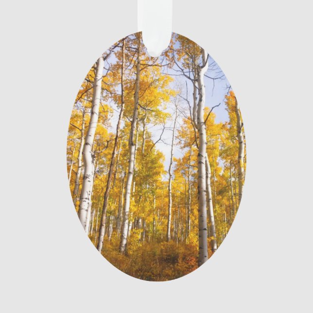 Aspen Groove Yellow Fall Leaves Ornament (Front)