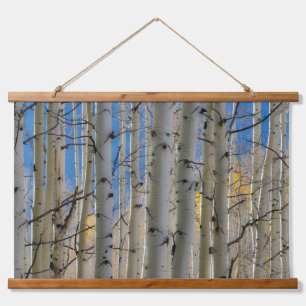 Aspen Groves Colorado Rocky Mountains Hanging Tapestry