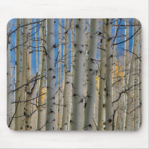 Aspen Groves Colorado Rocky Mountains Mouse Pad