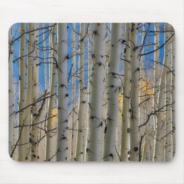 Aspen Groves | Colorado Rocky Mountains Mouse Pad (Front)
