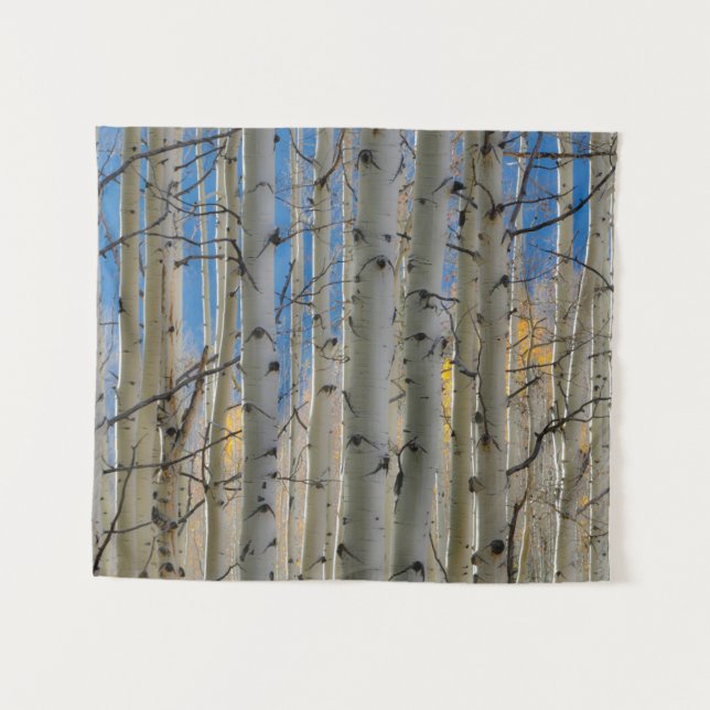 Aspen Groves | Colorado Rocky Mountains Tapestry (Front (Horizontal))