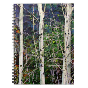 Aspen Impressions Notebook