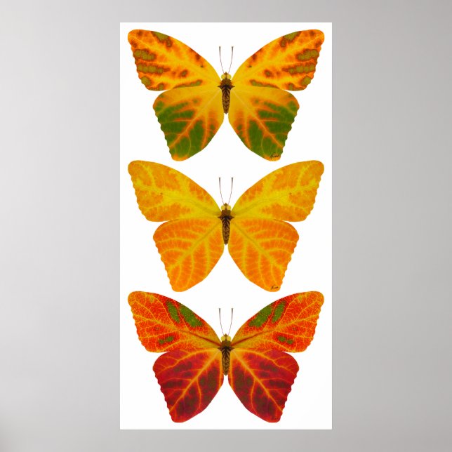 Aspen Leaf Butterflies Poster (Front)
