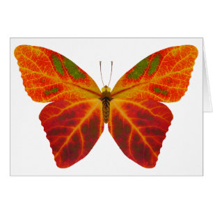 Aspen Leaf Butterfly 2