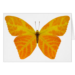 Aspen Leaf Butterfly 3
