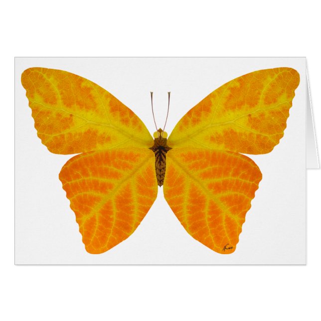 Aspen Leaf Butterfly 3 (Front Horizontal)