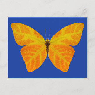 Aspen Leaf Butterfly 3 Postcard