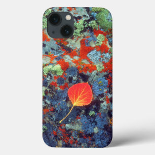 Aspen leaf on a lichen covered rock iPhone 13 case